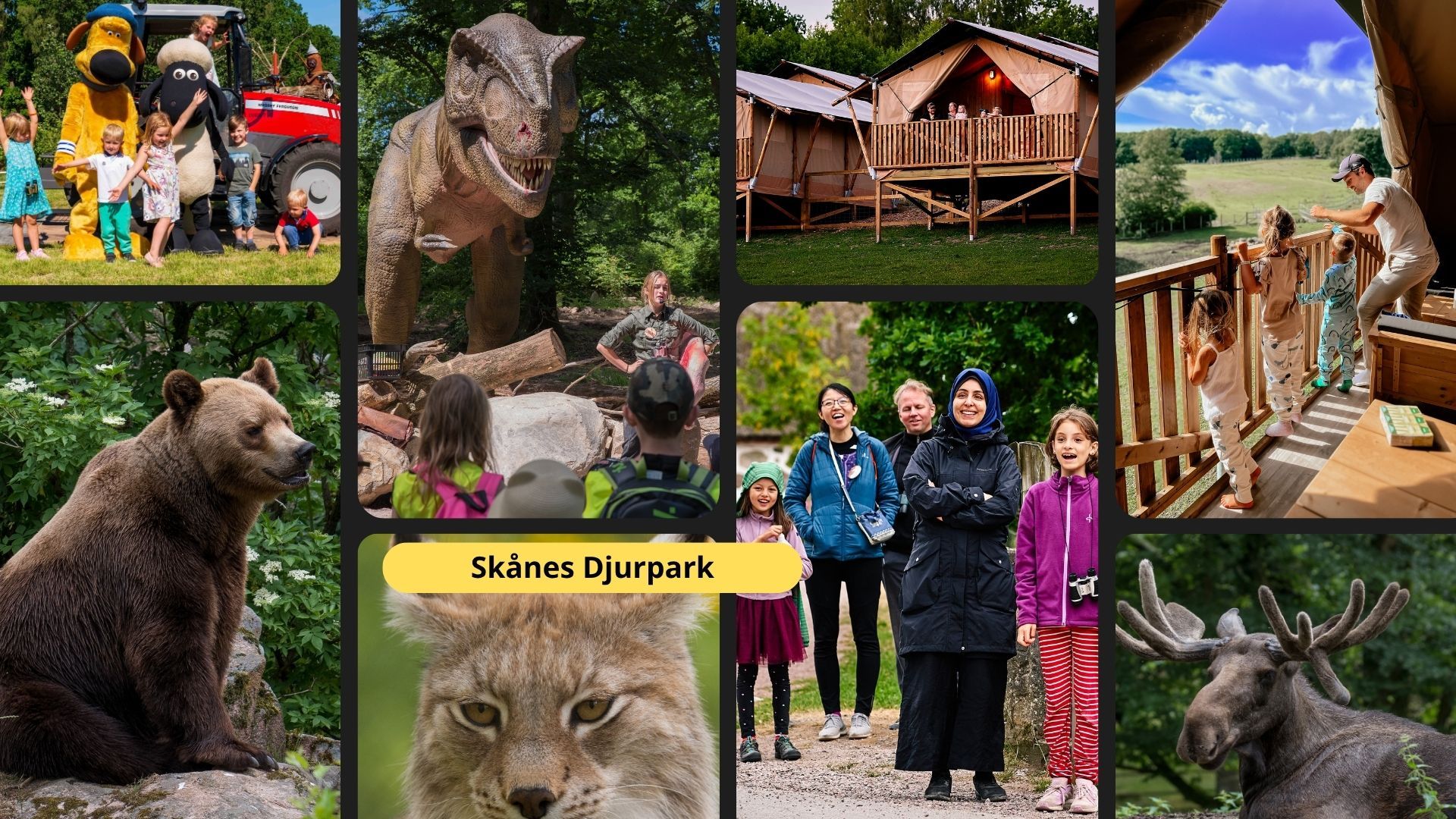 Sk nes Djurpark Sk nes Djurpark